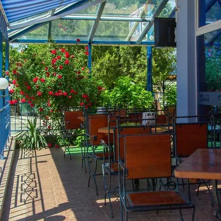 Dara プリモルスコ