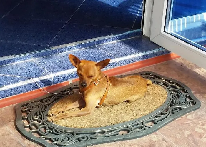 Dara Szálloda Primorszko