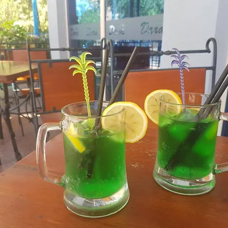 酒店 达拉酒店